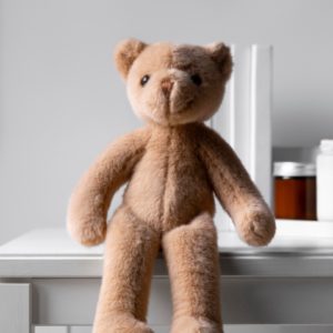 Plush Bear